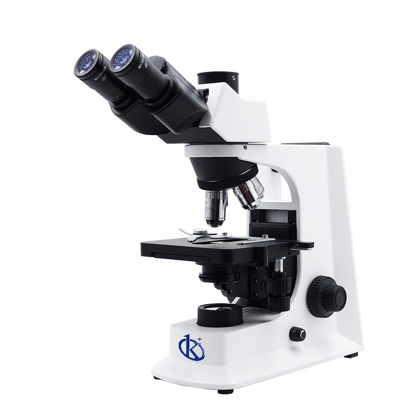 Laboratory Binocular Biological Microscope YR07017-B