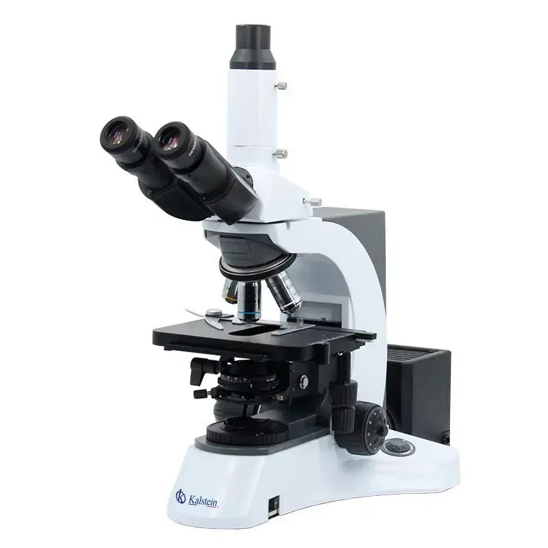 Microscopio Trinoculare YR0231