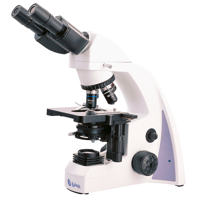 Pipettes: Practical Applications and Techniques 2026