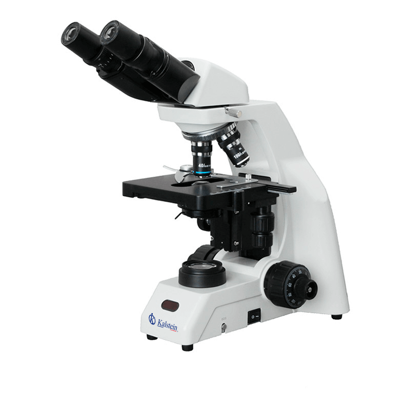 Microscopio Trinocular YR0240