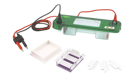 Horizontal Electrophoresis: Common Mistakes and How to Avoid Them in Daily Operations 2026