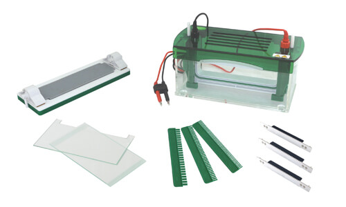 Elettroforesi verticale rapida SSR YR03430