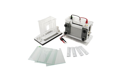 Mini elettroforesi YR401