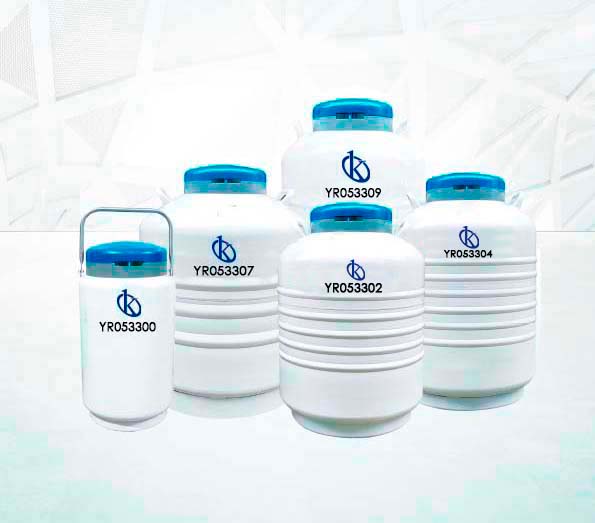 What is a liquid nitrogen container?