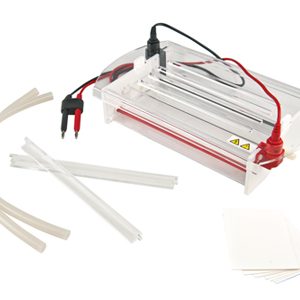 Electrophoresis: What is it? and What is it used for?