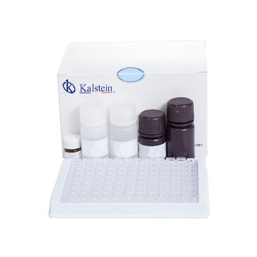 Clinical Chemistry Reagents: Best Techniques and Protocols in 2026