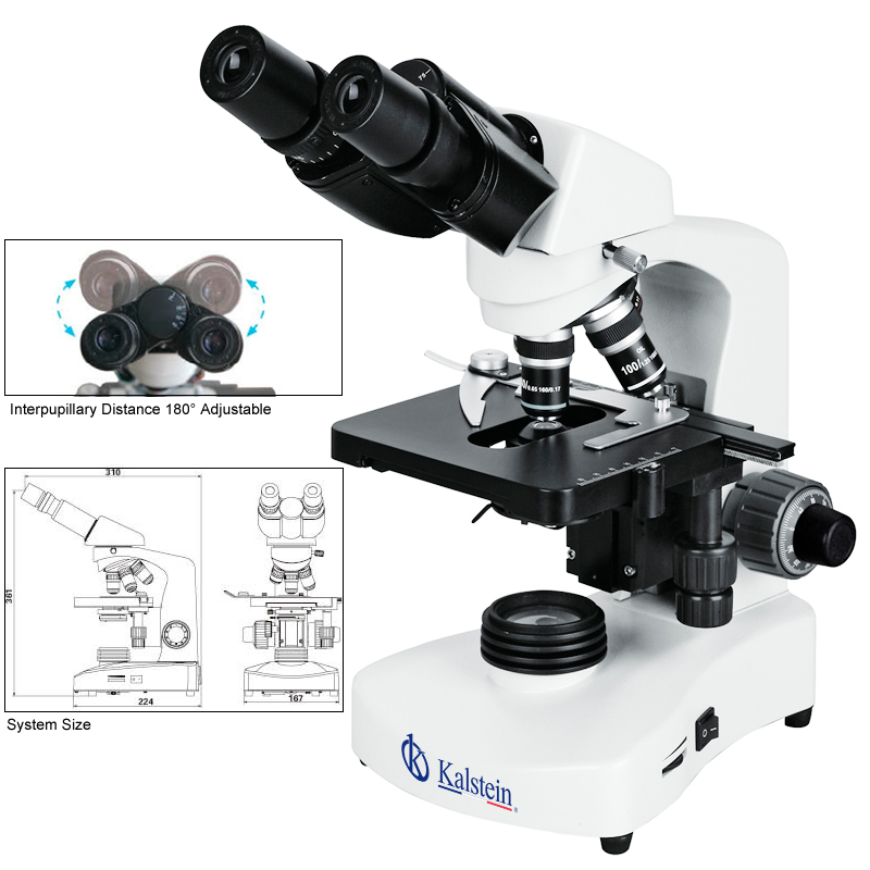 Laboratory Microscope YR0241 – 2