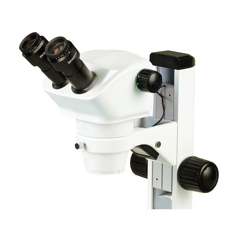 Binocular Laboratory Microscope YR0254 – 1