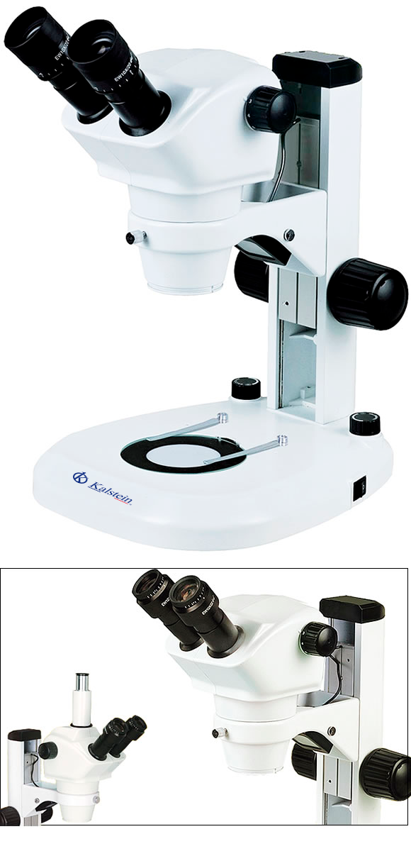 Binocular Laboratory Microscope YR0254 – 2