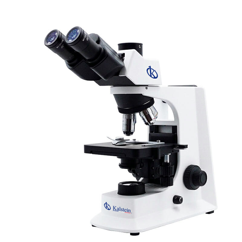 Comparative Analysis of Trinocular Biological Microscopes: Kalstein vs. AmScope
