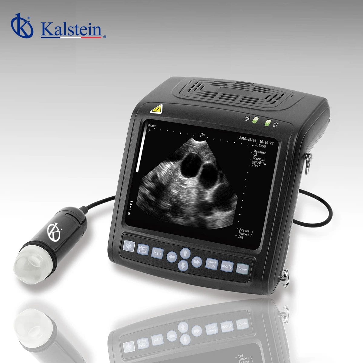 Comparative Analysis of Veterinary Ultrasound Devices: Kalstein WR06144 vs. Chison V8 DLX Vet