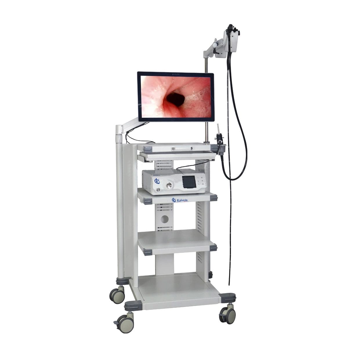 Veterinary Video Endoscopes: Unlocking Veterinary Potential