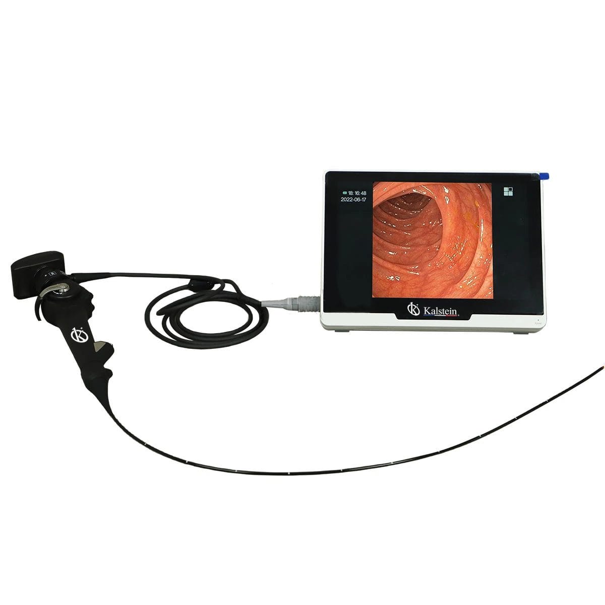 Veterinary Video Endoscope: Detailed Visualization with Video Endoscopes for Veterinary Procedures