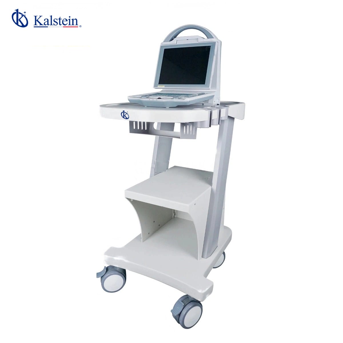 Advanced Veterinary Ultrasound: Kalstein YR06139 vs SonoScape S8 Vet