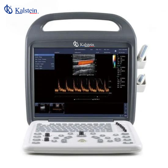Innovative Veterinary Ultrasound: A Deep Dive into Kalstein Technology