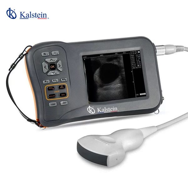 Revolutionizing Veterinary Diagnostics: The Kalstein Veterinary Ultrasound