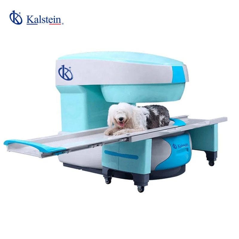 Revolutionizing Veterinary Diagnostics: Exploring the World of Veterinary MRI
