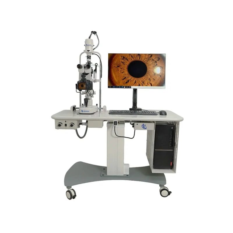 Veterinary Lamps: Optimal Lighting for Clinical and Surgical Procedures
