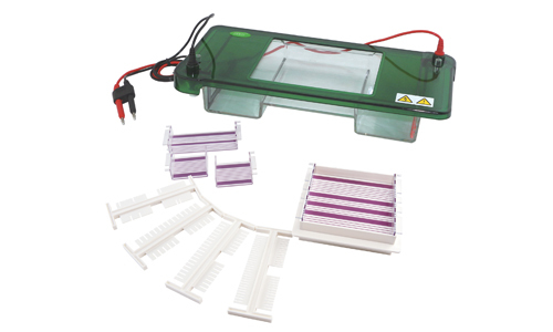 Comparative Analysis of Horizontal Electrophoresis Systems: Kalstein vs Edvotek