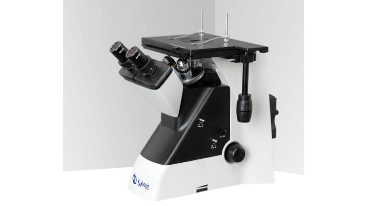 Practical Use of Microscope Trinocular YR0259 in Laboratories