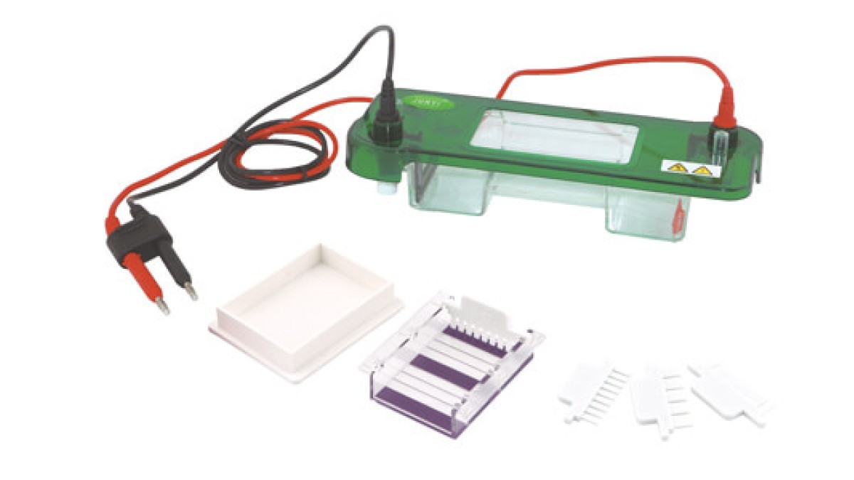 Horizontal Electrophoresis: Common Mistakes and How to Avoid Them in Daily Operations 2026