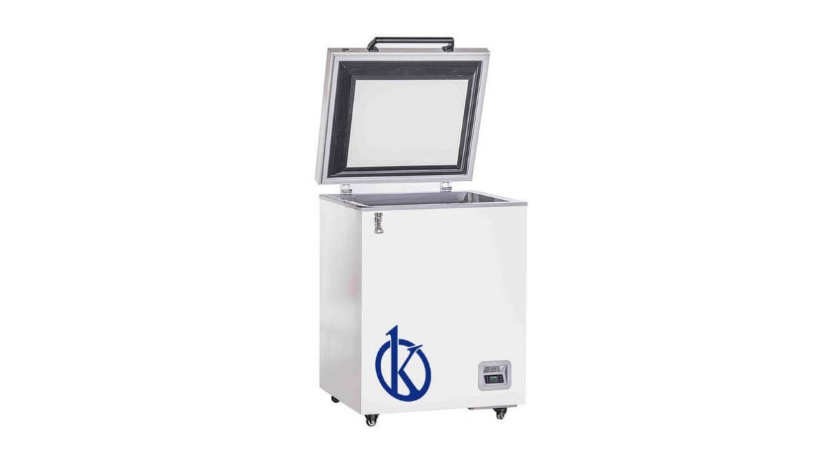 Ultra Low Temperature Small Stainless Steel Freezer YR05313: An In-Depth Analysis